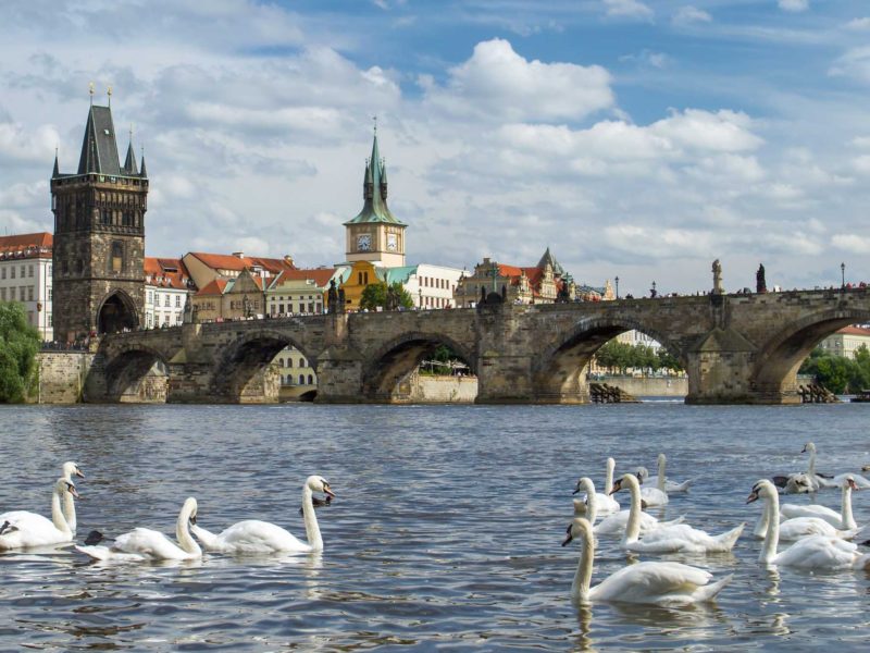 4 DNI PRAGA TERMIN: CAŁY ROK (DO UZGODNIENIA)